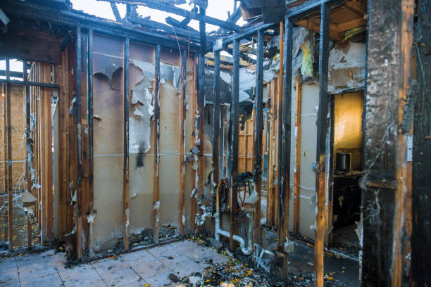 Professional Fire Damage Repair technician working in Purdy, WA